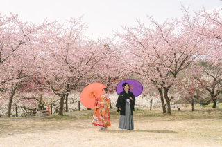 春のロケーション撮影