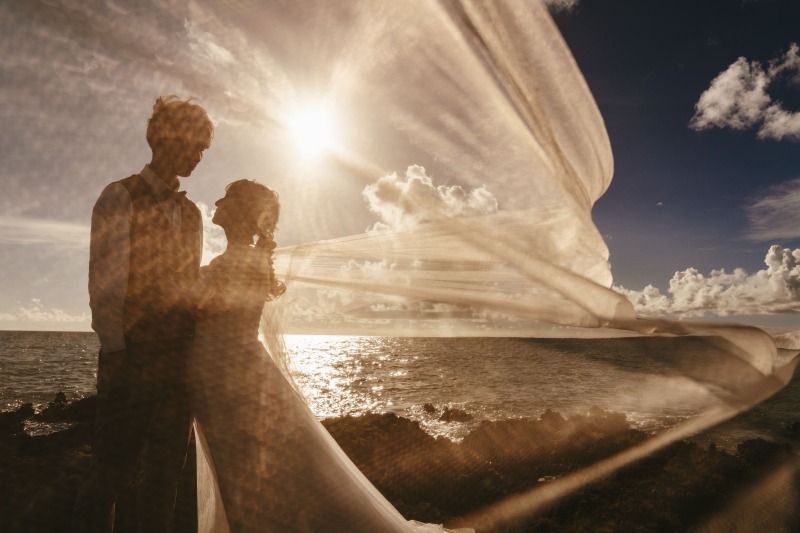 【年間に数日あります★】本日は晴れの特異日といって晴天率が高い日なのです！！