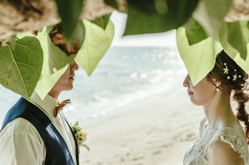 【南の島感満載！】宮古島で出会える自然の植物をご紹介いたします★