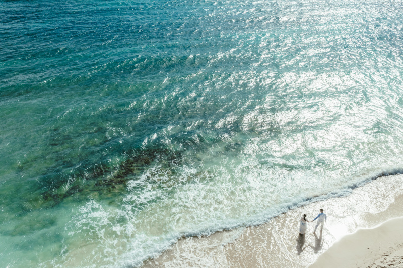 【新年のご挨拶】皆様、あけましておめでとうございます！