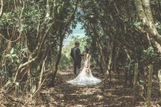 【運が良いと道端で会える！？】とっても可愛い宮古馬をご紹介します★