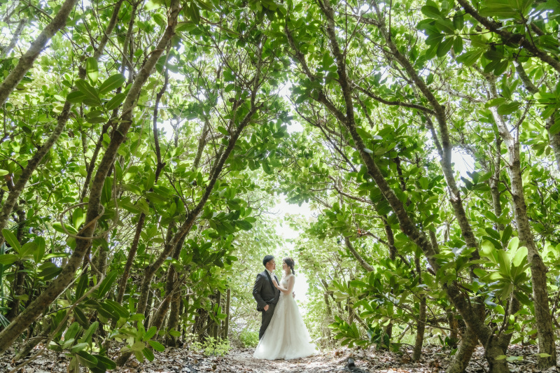 【多くの方に選ばれています★】カラードレスは写真映えしてとってもステキなんです!