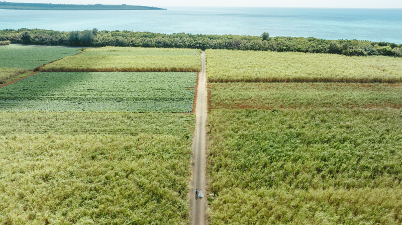 【宮古島ならでは!】島から橋で繋がる離島はどんなところがある??