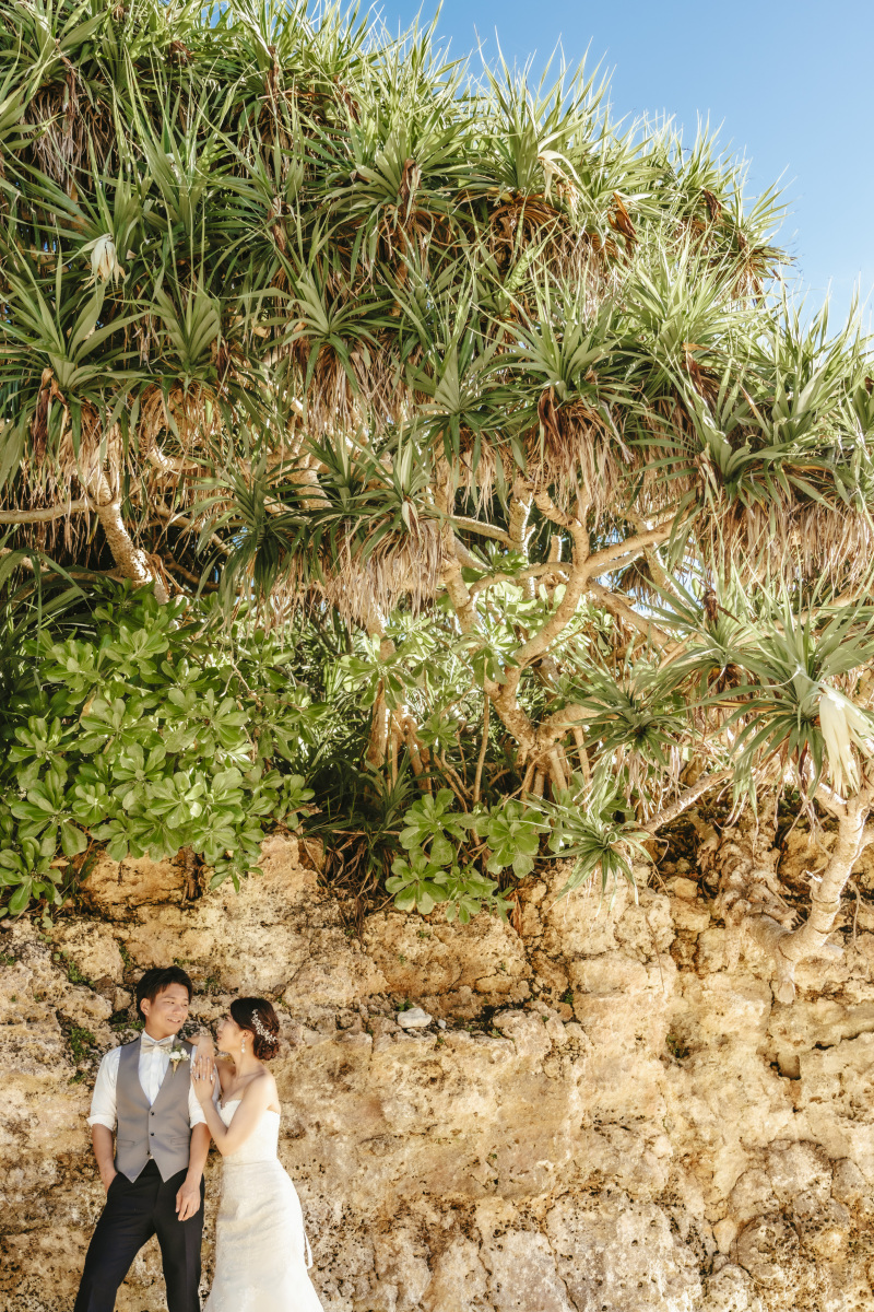 【南国のお正月】年末年始はイベントが盛りだくさん！