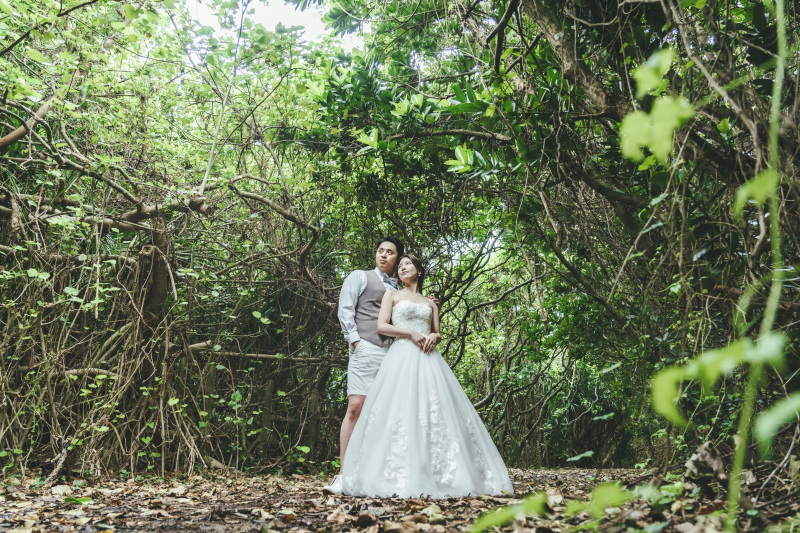 【島の暮らしに触れる】1月後半の宮古島の街の雰囲気