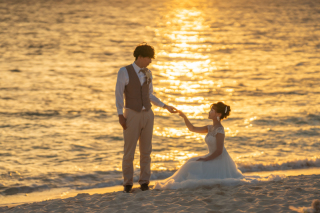 今年のマンゴー状況!