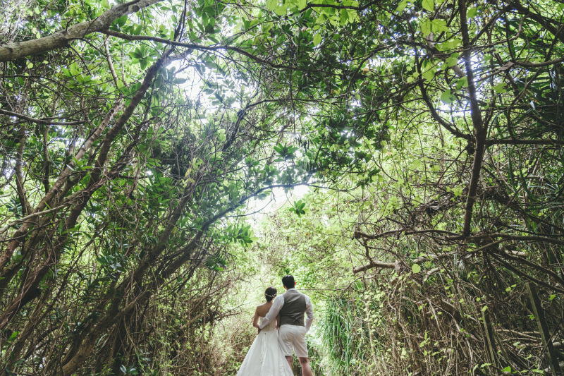 【風と共に暮らす】宮古島の生活と自然との距離感