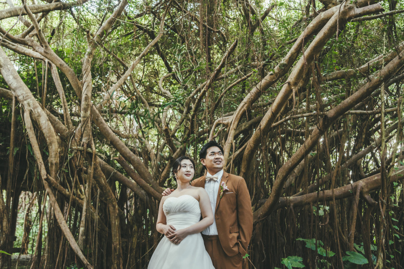 【宮古島の植物】自然に囲まれた撮影環境