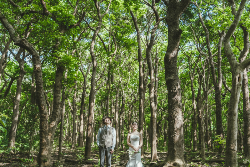 【移動方法はどんな風にしたら良い?】宮古島旅行でレンタカーは手配必須です!!