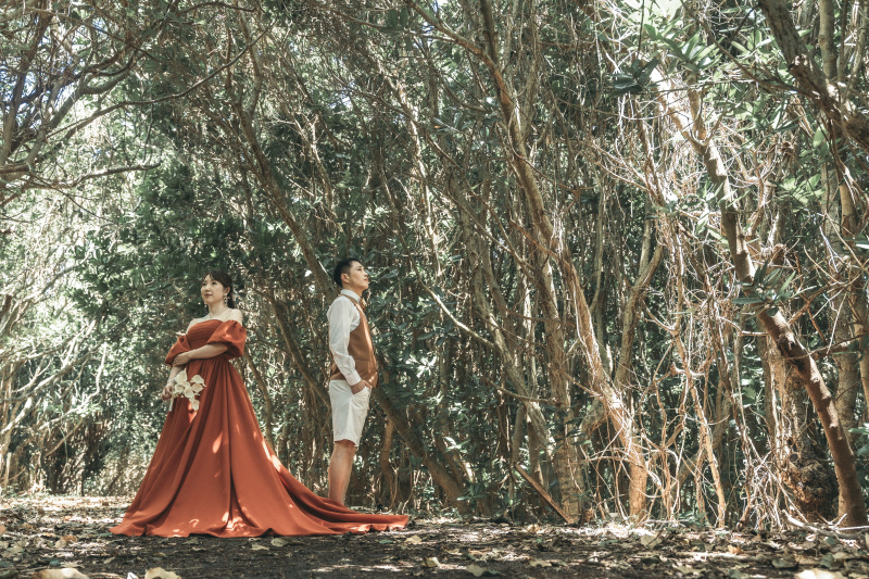 【撮影データの楽しみ方】写真のその後