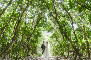 【宮古島の実はとっておきの魅力♡】グリーン撮影はとても映えるんです!!