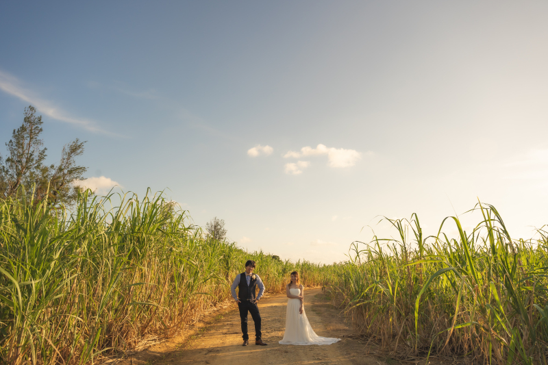 【理由があるんです!】宮古島の海はどうしてこんなにキレイなんでしょう??
