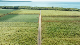 【実はあると便利!】ビーチに行く時にあると便利なアイテムたちをご紹介★