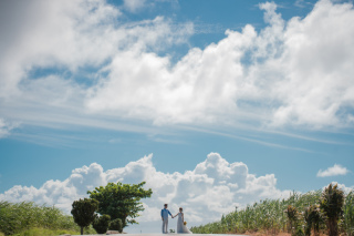 本日はゴーヤの日！