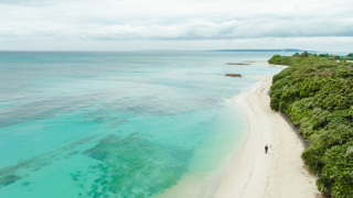 【宮古島に来たらぜひご参加いただきたい!】八重干瀬(やびじ)シュノーケリング★