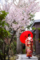 フォトスタジオリリー\GW特典付フォトウェディング相談会/のご案内☆彡