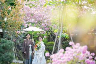 春桜の前撮り撮影予約開始しました☆