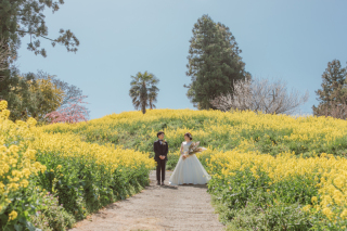 5月の空き状況について