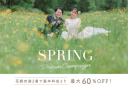【最大60%OFF】2着がお得!春のドリームキャンペーン開催中です!