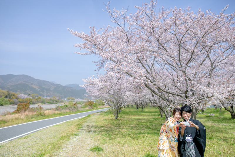 桜ロケーションフォト