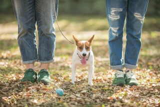 ファミリー撮影イベント