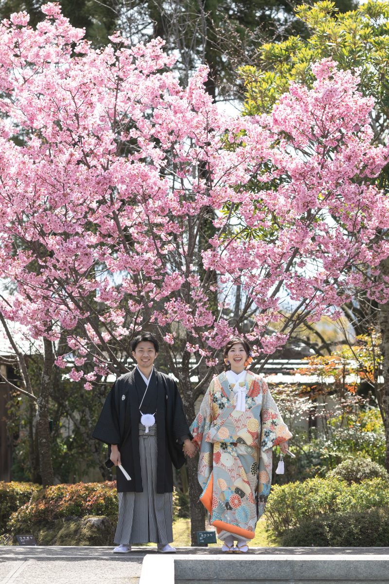 桜の時期の撮影予約を始めました