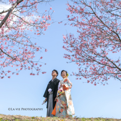 桜ロケーションフォト