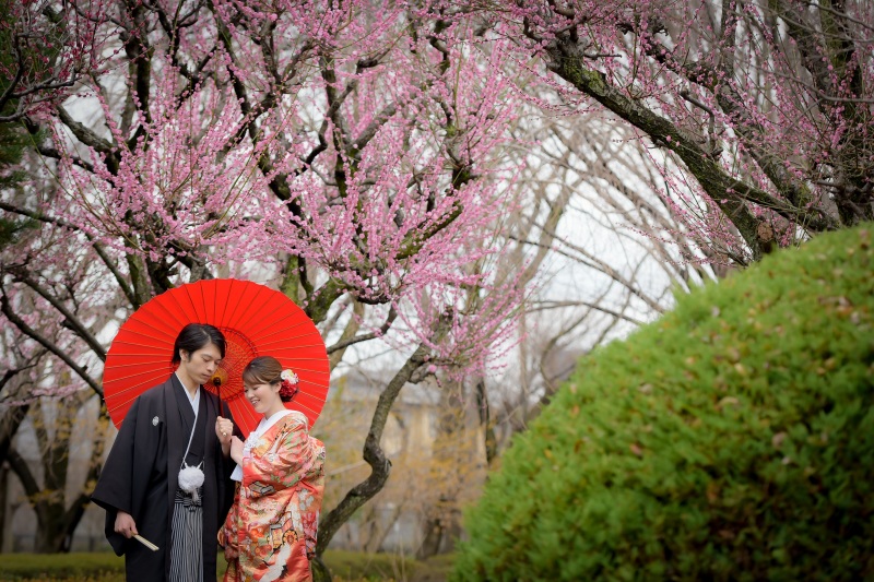 梅の時期♥