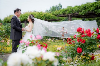 ✿✿✿GWは花の丘農林公園✿✿✿