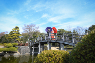 【第一弾】1月限定 和装壱点プラン 割引のご案内!!