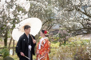 2月の撮影もまだ間に合います ❀梅特集❀