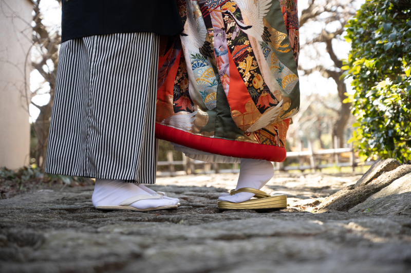 2月撮影データ紹介