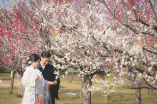花の丘農林公苑×梅