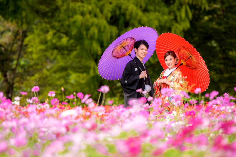 10月はコスモスのキレイな『花の丘農林公苑』がおススメ♪