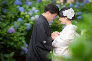 ❁紫陽花なら大宮第二公園❁