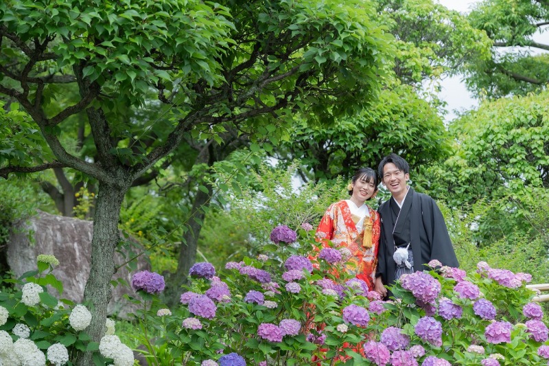 花田苑の紫陽花ショット✿