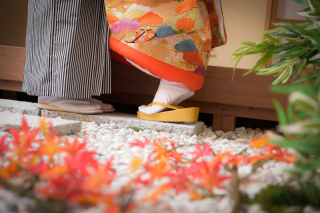 １１月のキャンペーン★