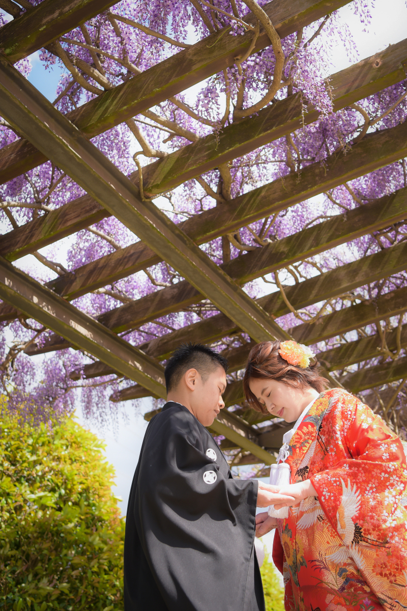桜の後