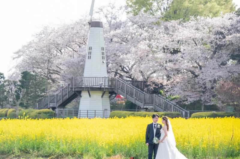 市民の森で桜と撮影