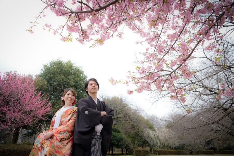 梅の花が咲き始めました♪