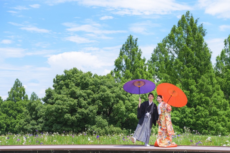 ❁紫陽花なら大宮第二公園❁