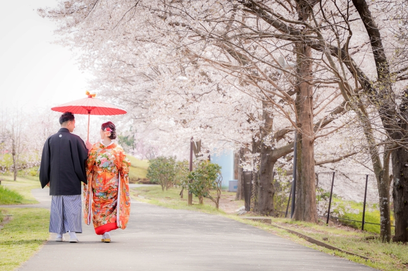 花の丘桜！