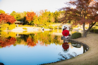 秋の紅葉シーズンの撮影について