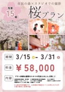桜プラン