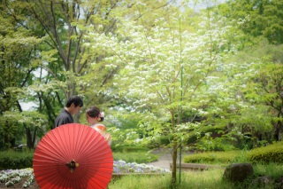 皆さんこんにちは!!華雅苑さいたま店です。