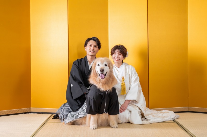 ゴールデンレトリバーとの撮影紹介♪
