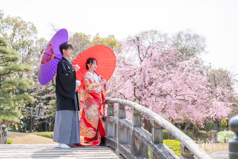 花田苑桜