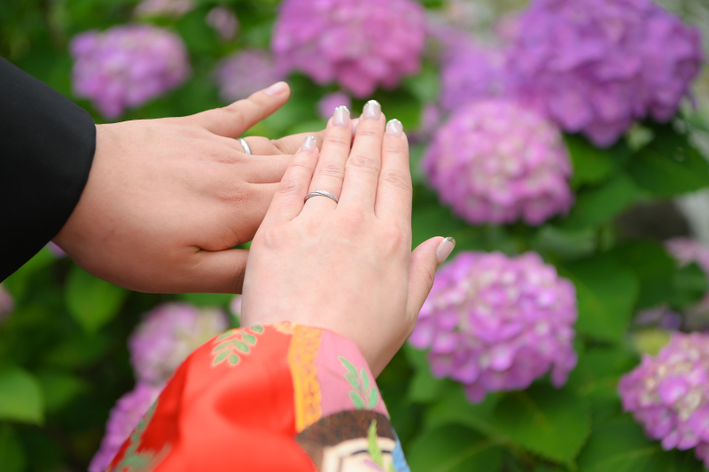 花田苑・菖蒲