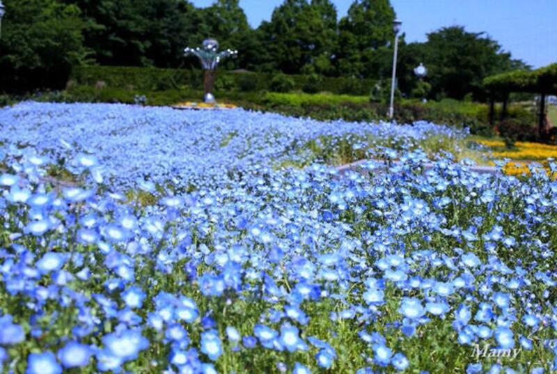春の季節...❀