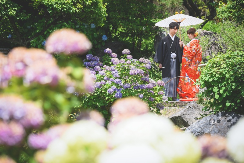 6月花田苑(日本庭園) まだご撮影間に合います♪